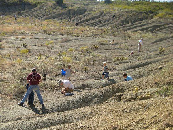 Fossil Park visitors looking for fossils