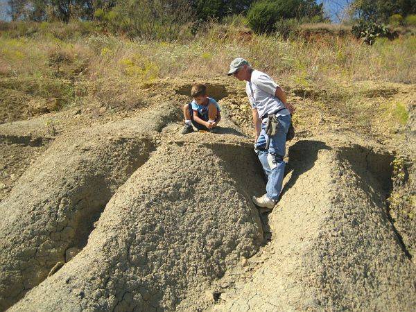 Fossil Park visitors looking for fossils