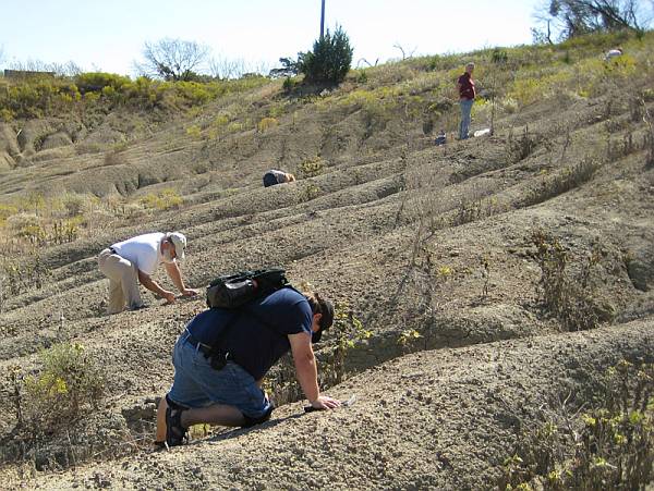 Fossil Park visitors looking for fossils