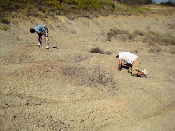 Fossil Park visitors looking for fossils