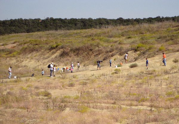 Fossil Park visitors looking for fossils