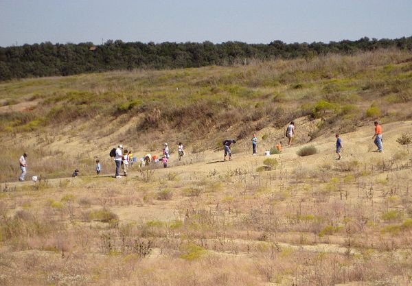 Fossil Park visitors looking for fossils